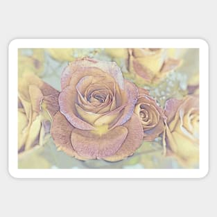 Roses No.1-15 Sticker